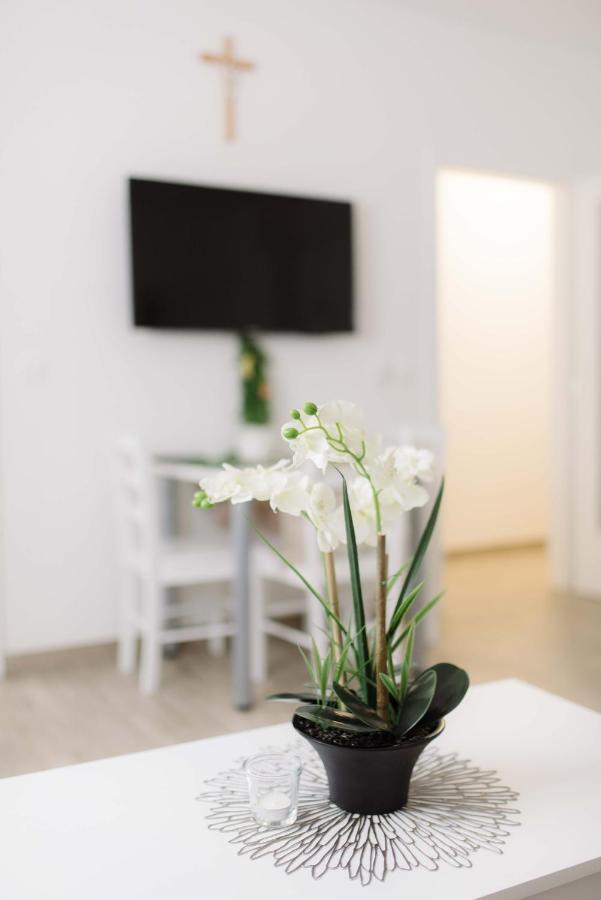 Ruza Apartmani Zadar Exteriér fotografie